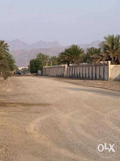 للبيع استراحة م 9853م2 . الولاية دباء , الغرابية , سلطنة عمان 1