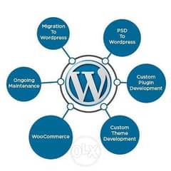 We Build Your Professional Website in Shopify and WordPress 0