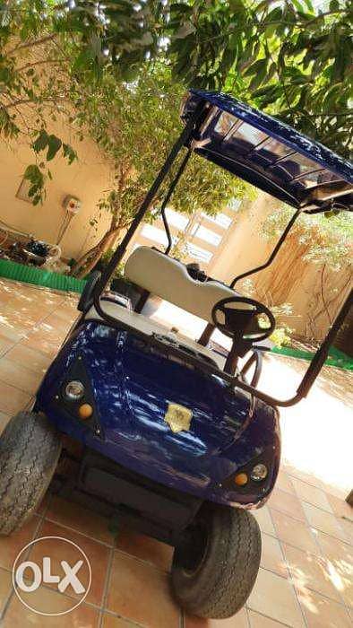 CustomCarts. org عربة جولف Blue Marshell - Electric 2 Seater Golf Car! 3