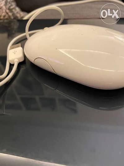 apple mouse wired 1