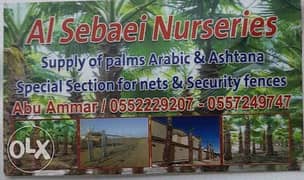 Al Sebaei Nurseries Supply of Palms Arabic & Ashtana 0