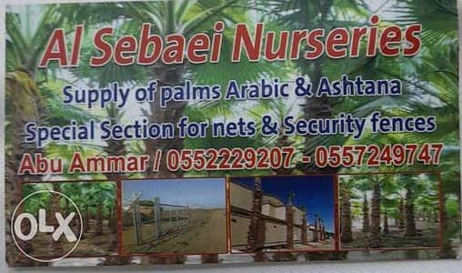 Al Sebaei Nurseries Supply of Palms Arabic & Ashtana 0