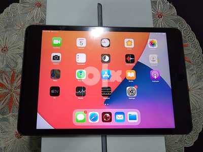 Apple iPad Mini 5th Gen 64GB WiFi 0