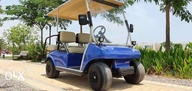 CustomCarts. Org عربة جولف- Blue Club Car DS Electric 4 Seater Golf Car 1