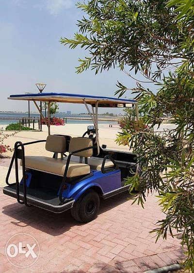 CustomCarts. Org عربة جولف- Blue Club Car DS Electric 4 Seater Golf Car 5