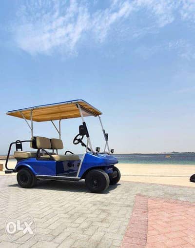 CustomCarts. Org عربة جولف- Blue Club Car DS Electric 4 Seater Golf Car 6