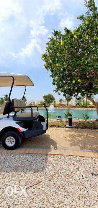 CustomCarts. Org عربة جولف White Yamaha RDX Electric 6 Seater Golf Car 5